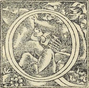 An illustration from Georgii Agricolae De re metallica : libri XII. Quibus officia, instrumenta, machinae, ac omnia deni[que] ad metallicam spectantia, non modo luculentissimè describuntur, sed & per effigies, suis locis infertas, adiunctis latinis, germanicis [que] appellationibus ita ob oculos ponuntur, ut clarius tradi non possint. ; Eiusdem De animantibus subterraneis liber,, 1556, leaf 369