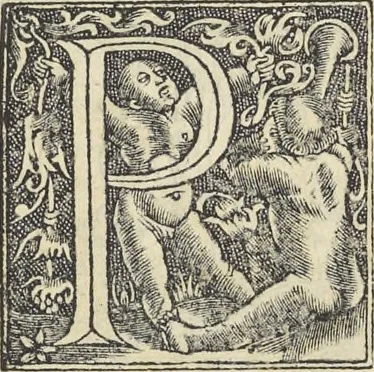 An illustration from Georgii Agricolae De re metallica : libri XII. Quibus officia, instrumenta, machinae, ac omnia deni[que] ad metallicam spectantia, non modo luculentissimè describuntur, sed & per effigies, suis locis infertas, adiunctis latinis, germanicis [que] appellationibus ita ob oculos ponuntur, ut clarius tradi non possint. ; Eiusdem De animantibus subterraneis liber,, 1556, leaf 44
