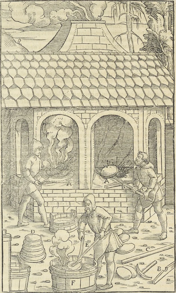 An illustration from Georgii Agricolae De re metallica : libri XII. Quibus officia, instrumenta, machinae, ac omnia deni[que] ad metallicam spectantia, non modo luculentissimè describuntur, sed & per effigies, suis locis infertas, adiunctis latinis, germanicis [que] appellationibus ita ob oculos ponuntur, ut clarius tradi non possint. ; Eiusdem De animantibus subterraneis liber,, 1556, leaf 449