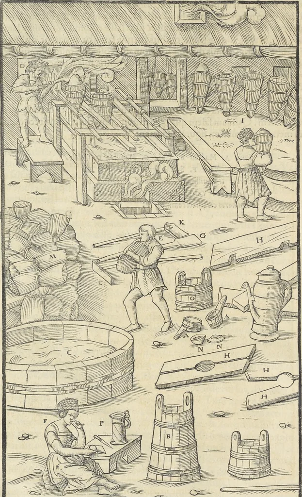 An illustration from Georgii Agricolae De re metallica : libri XII. Quibus officia, instrumenta, machinae, ac omnia deni[que] ad metallicam spectantia, non modo luculentissimè describuntur, sed & per effigies, suis locis infertas, adiunctis latinis, germanicis [que] appellationibus ita ob oculos ponuntur, ut clarius tradi non possint. ; Eiusdem De animantibus subterraneis liber,, 1556, leaf 463