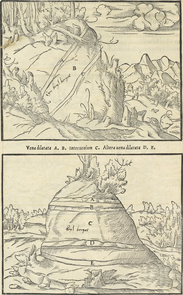 An illustration from Georgii Agricolae De re metallica : libri XII. Quibus officia, instrumenta, machinae, ac omnia deni[que] ad metallicam spectantia, non modo luculentissimè describuntur, sed & per effigies, suis locis infertas, adiunctis latinis, germanicis [que] appellationibus ita ob oculos ponuntur, ut clarius tradi non possint. ; Eiusdem De animantibus subterraneis liber,, 1556, leaf 47