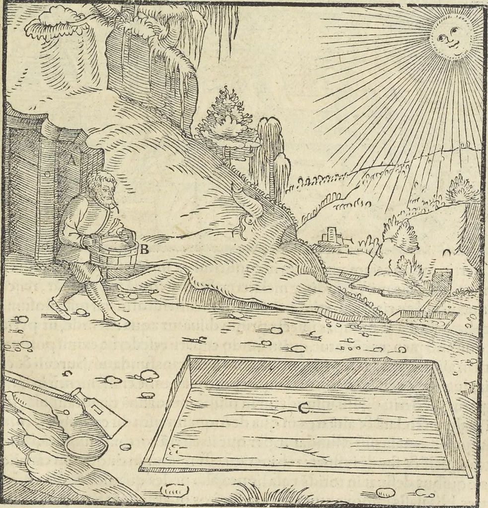 An illustration from Georgii Agricolae De re metallica : libri XII. Quibus officia, instrumenta, machinae, ac omnia deni[que] ad metallicam spectantia, non modo luculentissimè describuntur, sed & per effigies, suis locis infertas, adiunctis latinis, germanicis [que] appellationibus ita ob oculos ponuntur, ut clarius tradi non possint. ; Eiusdem De animantibus subterraneis liber,, 1556, leaf 476