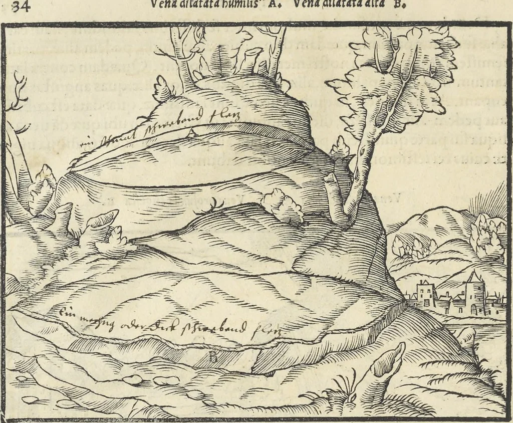An illustration from Georgii Agricolae De re metallica : libri XII. Quibus officia, instrumenta, machinae, ac omnia deni[que] ad metallicam spectantia, non modo luculentissimè describuntur, sed & per effigies, suis locis infertas, adiunctis latinis, germanicis [que] appellationibus ita ob oculos ponuntur, ut clarius tradi non possint. ; Eiusdem De animantibus subterraneis liber,, 1556, leaf 49