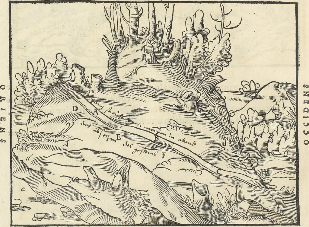 An illustration from Georgii Agricolae De re metallica : libri XII. Quibus officia, instrumenta, machinae, ac omnia deni[que] ad metallicam spectantia, non modo luculentissimè describuntur, sed & per effigies, suis locis infertas, adiunctis latinis, germanicis [que] appellationibus ita ob oculos ponuntur, ut clarius tradi non possint. ; Eiusdem De animantibus subterraneis liber,, 1556, leaf 49