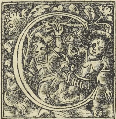 An illustration from Georgii Agricolae De re metallica : libri XII. Quibus officia, instrumenta, machinae, ac omnia deni[que] ad metallicam spectantia, non modo luculentissimè describuntur, sed & per effigies, suis locis infertas, adiunctis latinis, germanicis [que] appellationibus ita ob oculos ponuntur, ut clarius tradi non possint. ; Eiusdem De animantibus subterraneis liber,, 1556, leaf 494