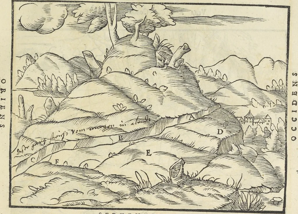 An illustration from Georgii Agricolae De re metallica : libri XII. Quibus officia, instrumenta, machinae, ac omnia deni[que] ad metallicam spectantia, non modo luculentissimè describuntur, sed & per effigies, suis locis infertas, adiunctis latinis, germanicis [que] appellationibus ita ob oculos ponuntur, ut clarius tradi non possint. ; Eiusdem De animantibus subterraneis liber,, 1556, leaf 50