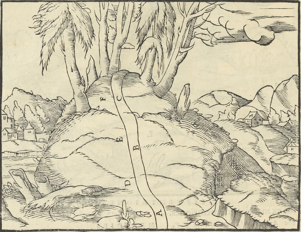 An illustration from Georgii Agricolae De re metallica : libri XII. Quibus officia, instrumenta, machinae, ac omnia deni[que] ad metallicam spectantia, non modo luculentissimè describuntur, sed & per effigies, suis locis infertas, adiunctis latinis, germanicis [que] appellationibus ita ob oculos ponuntur, ut clarius tradi non possint. ; Eiusdem De animantibus subterraneis liber,, 1556, leaf 51