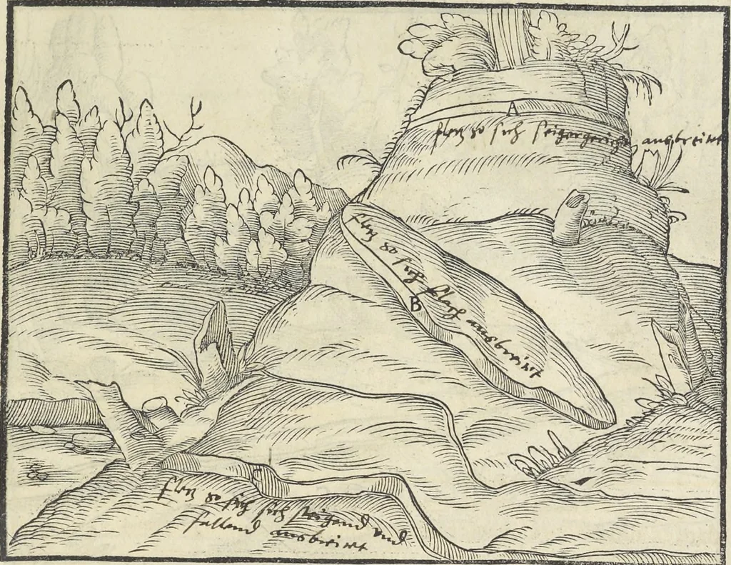 An illustration from Georgii Agricolae De re metallica : libri XII. Quibus officia, instrumenta, machinae, ac omnia deni[que] ad metallicam spectantia, non modo luculentissimè describuntur, sed & per effigies, suis locis infertas, adiunctis latinis, germanicis [que] appellationibus ita ob oculos ponuntur, ut clarius tradi non possint. ; Eiusdem De animantibus subterraneis liber,, 1556, leaf 56