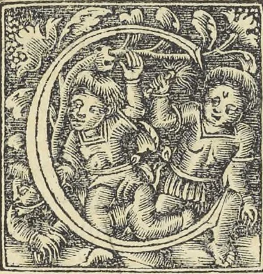 An illustration from Georgii Agricolae De re metallica : libri XII. Quibus officia, instrumenta, machinae, ac omnia deni[que] ad metallicam spectantia, non modo luculentissimè describuntur, sed & per effigies, suis locis infertas, adiunctis latinis, germanicis [que] appellationibus ita ob oculos ponuntur, ut clarius tradi non possint. ; Eiusdem De animantibus subterraneis liber,, 1556, leaf 6