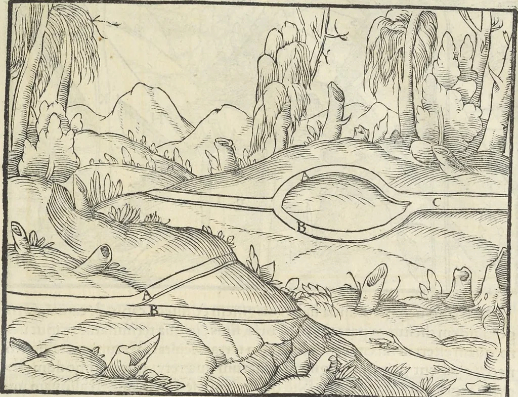 An illustration from Georgii Agricolae De re metallica : libri XII. Quibus officia, instrumenta, machinae, ac omnia deni[que] ad metallicam spectantia, non modo luculentissimè describuntur, sed & per effigies, suis locis infertas, adiunctis latinis, germanicis [que] appellationibus ita ob oculos ponuntur, ut clarius tradi non possint. ; Eiusdem De animantibus subterraneis liber,, 1556, leaf 62