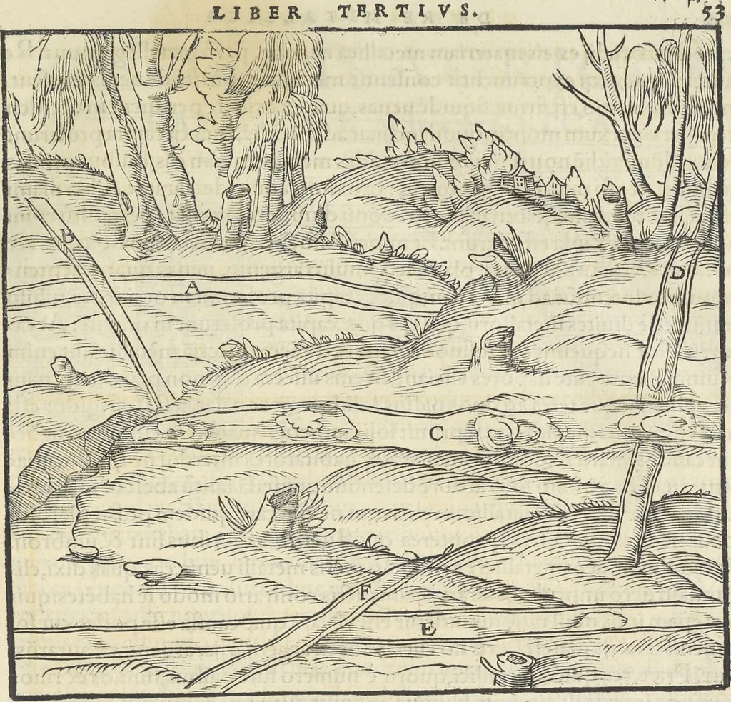 An illustration from Georgii Agricolae De re metallica : libri XII. Quibus officia, instrumenta, machinae, ac omnia deni[que] ad metallicam spectantia, non modo luculentissimè describuntur, sed & per effigies, suis locis infertas, adiunctis latinis, germanicis [que] appellationibus ita ob oculos ponuntur, ut clarius tradi non possint. ; Eiusdem De animantibus subterraneis liber,, 1556, leaf 68