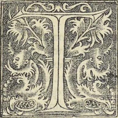 An illustration from Georgii Agricolae De re metallica : libri XII. Quibus officia, instrumenta, machinae, ac omnia deni[que] ad metallicam spectantia, non modo luculentissimè describuntur, sed & per effigies, suis locis infertas, adiunctis latinis, germanicis [que] appellationibus ita ob oculos ponuntur, ut clarius tradi non possint. ; Eiusdem De animantibus subterraneis liber,, 1556, leaf 70
