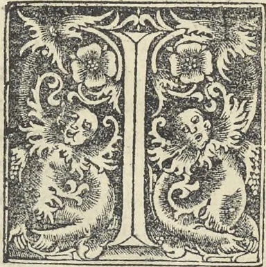 An illustration from Georgii Agricolae De re metallica : libri XII. Quibus officia, instrumenta, machinae, ac omnia deni[que] ad metallicam spectantia, non modo luculentissimè describuntur, sed & per effigies, suis locis infertas, adiunctis latinis, germanicis [que] appellationibus ita ob oculos ponuntur, ut clarius tradi non possint. ; Eiusdem De animantibus subterraneis liber,, 1556, leaf 85
