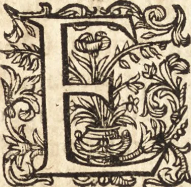 An illustration from Ivsti LipsI Epistolarvm selectarvm centvria prima-[qvinta] miscellanea, 1605, leaf 10
