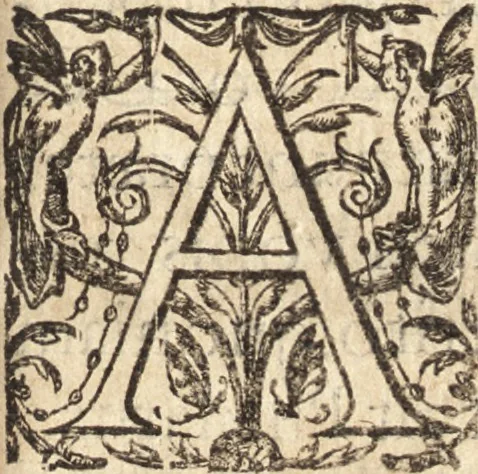 An illustration from Ivsti LipsI Epistolarvm selectarvm centvria prima-[qvinta] miscellanea, 1605, leaf 136
