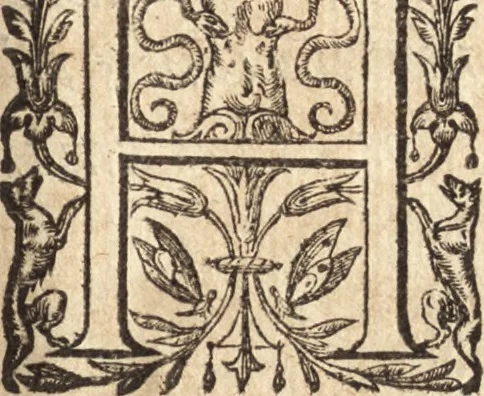 An illustration from Ivsti LipsI Epistolarvm selectarvm centvria prima-[qvinta] miscellanea, 1605, leaf 138