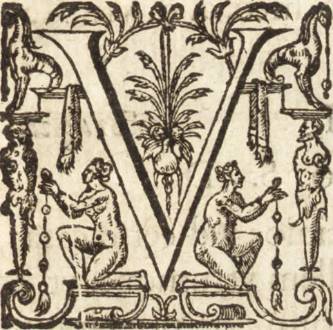 An illustration from Ivsti LipsI Epistolarvm selectarvm centvria prima-[qvinta] miscellanea, 1605, leaf 14