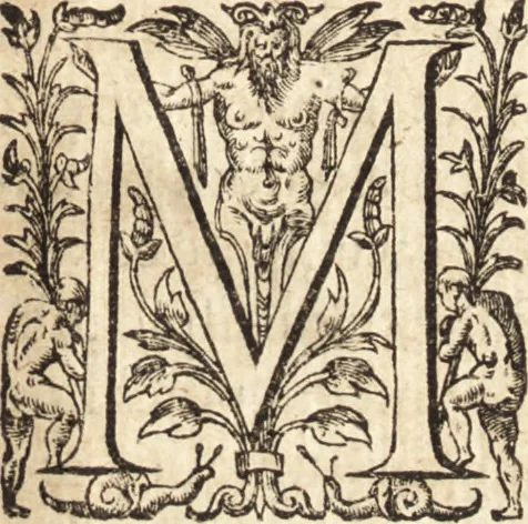 An illustration from Ivsti LipsI Epistolarvm selectarvm centvria prima-[qvinta] miscellanea, 1605, leaf 142