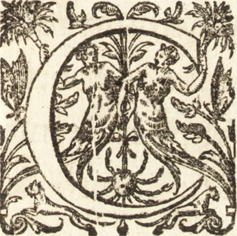 An illustration from Ivsti LipsI Epistolarvm selectarvm centvria prima-[qvinta] miscellanea, 1605, leaf 232