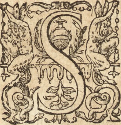 An illustration from Ivsti LipsI Epistolarvm selectarvm centvria prima-[qvinta] miscellanea, 1605, leaf 238