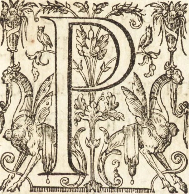 An illustration from Ivsti LipsI Epistolarvm selectarvm centvria prima-[qvinta] miscellanea, 1605, leaf 450