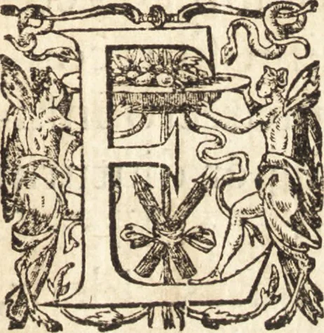 An illustration from Ivsti LipsI Epistolarvm selectarvm centvria prima-[qvinta] miscellanea, 1605, leaf 8