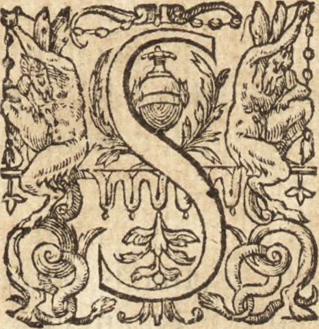 An illustration from Ivsti LipsI Epistolarvm selectarvm centvria singvlaris ad Italos & Hispanos, quive in iis locis, 1604, leaf 12