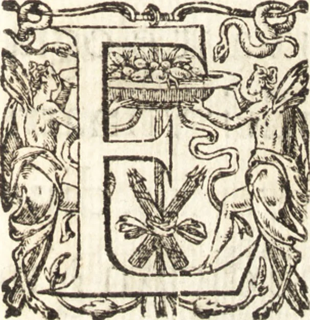 An illustration from Ivsti LipsI Epistolarvm selectarvm centvria prima [-tertia] ad Belgas, 1605, leaf 114