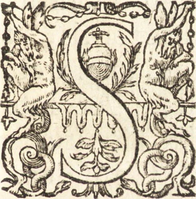 An illustration from Ivsti LipsI Epistolarvm selectarvm centvria prima [-tertia] ad Belgas, 1605, leaf 222