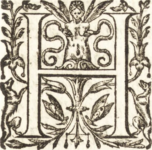 An illustration from Ivsti LipsI dissertativncvla apvd principes : item C. PlinI Panegyricvs liber Traiano dictvs, 1604, leaf 24
