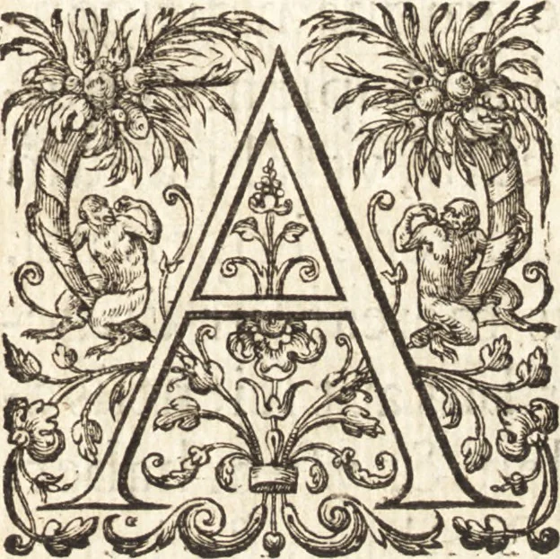 An illustration from Ivsti LipsI Politicorvm, sive, Civilis doctrinae libri sex : qui ad principatum maxime spectant : additae Notae auctiores, tum & De vna religione liber, 1610, leaf 10