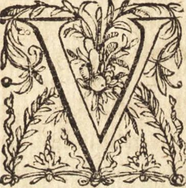 An illustration from Ivsti LipsI Politicorvm, sive, Civilis doctrinae libri sex : qui ad principatum maxime spectant : additae Notae auctiores, tum & De vna religione liber, 1610, leaf 28
