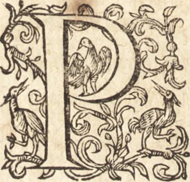 An illustration from Ivsti LipsI Politicorvm, sive, Civilis doctrinae libri sex : qui ad principatum maxime spectant : additae Notae auctiores, tum & De vna religione liber, 1610, leaf 67