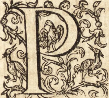 An illustration from Iusti LipsI Monita et exempla politica : libri dvo qui virtutes et vitia principum spectant, 1606, leaf 10