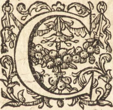 An illustration from Iusti LipsI Monita et exempla politica : libri dvo qui virtutes et vitia principum spectant, 1606, leaf 65