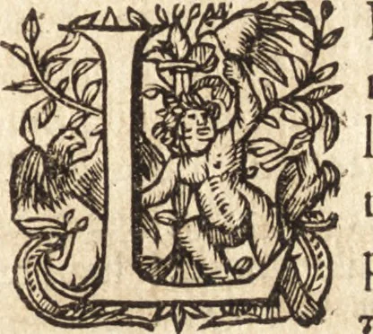 An illustration from Iusti LipsI Monita et exempla politica : libri dvo qui virtutes et vitia principum spectant, 1606, leaf 74