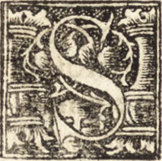An illustration from De pictvra : praestantissima et numqvam satis laudata arte : libri tres, 1540, leaf 47