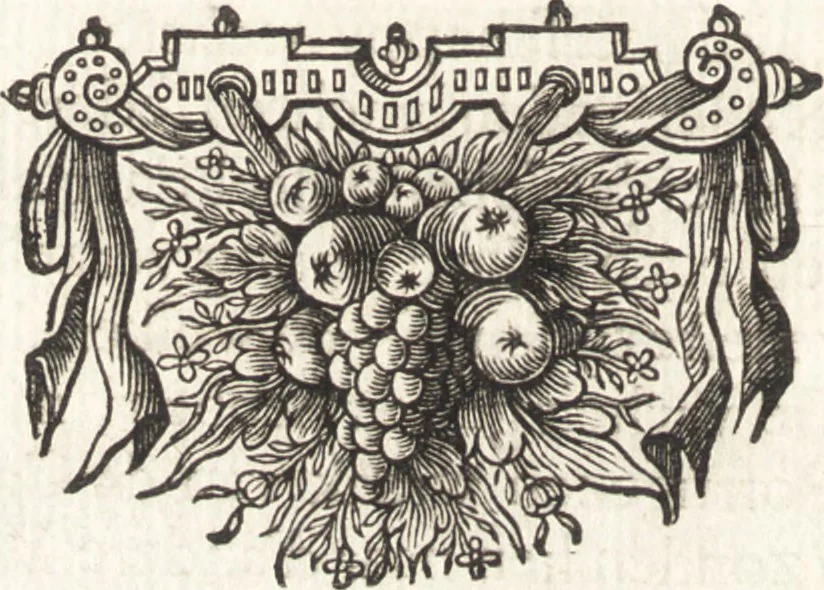 An illustration from Klare en waarachtige beschryving van de leste beroerten en afval der Portugezen in Brasil; daar in d'oorsprong dezer zwarigheden en oorlogen klarelijk vertoont worden, 1652, leaf 11