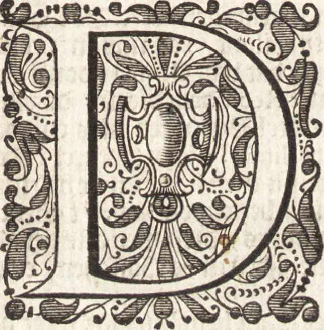An illustration from Klare en waarachtige beschryving van de leste beroerten en afval der Portugezen in Brasil; daar in d'oorsprong dezer zwarigheden en oorlogen klarelijk vertoont worden, 1652, leaf 14