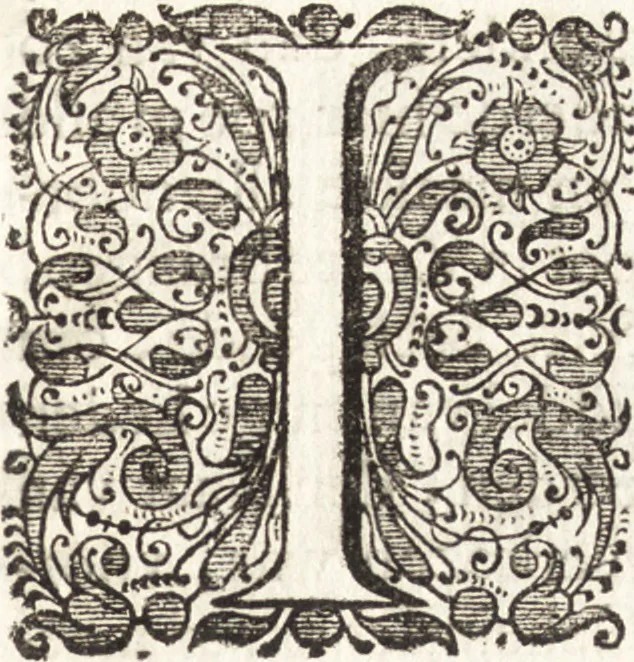 An illustration from Klare en waarachtige beschryving van de leste beroerten en afval der Portugezen in Brasil; daar in d'oorsprong dezer zwarigheden en oorlogen klarelijk vertoont worden, 1652, leaf 8