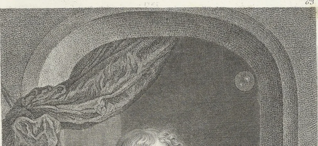 An illustration from Collection de cent-vingt estampes, gravées d'après les tableaux & dessins qui composoient le cabinet de M. Poullain, receveur général des domaines du roi, décédé en 1780 : précédé d'un abrégé historique de la vie des auteurs qui la composent, 1781, leaf 126
