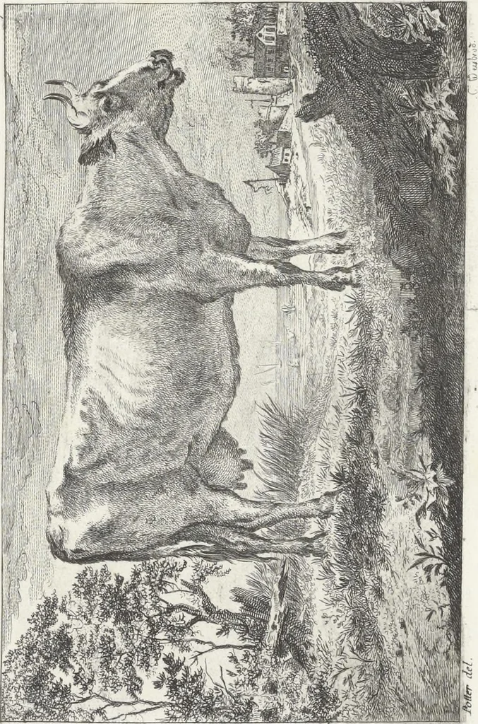 An illustration from Collection de cent-vingt estampes, gravées d'après les tableaux & dessins qui composoient le cabinet de M. Poullain, receveur général des domaines du roi, décédé en 1780 : précédé d'un abrégé historique de la vie des auteurs qui la composent, 1781, leaf 150