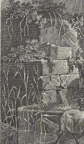 An illustration from Collection de cent-vingt estampes, gravées d'après les tableaux & dessins qui composoient le cabinet de M. Poullain, receveur général des domaines du roi, décédé en 1780 : précédé d'un abrégé historique de la vie des auteurs qui la composent, 1781, leaf 22