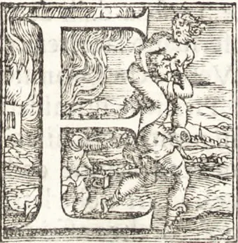 An illustration from Descrittione di tvtta Italia ... nella quale si contiene il sito di essa, l'origine, & le signorie della città, & delle castella, co i nomi antichi & moderni i costumi de populi, le condicioni de paesi, et piv gli hvomini famosi che l'hanno illustrata, i monti, i laghi, i fiumi, le fontane, i bagni, le minere, con tutti l'opre marauigliose in lei dalla natura prodotte, 1550, leaf 110