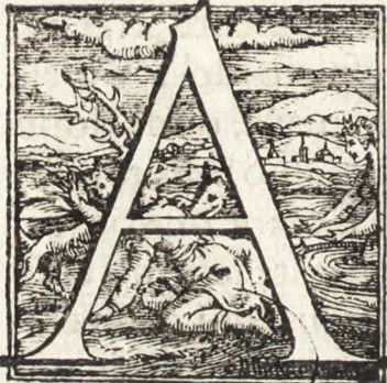 An illustration from Descrittione di tvtta Italia ... nella quale si contiene il sito di essa, l'origine, & le signorie della città, & delle castella, co i nomi antichi & moderni i costumi de populi, le condicioni de paesi, et piv gli hvomini famosi che l'hanno illustrata, i monti, i laghi, i fiumi, le fontane, i bagni, le minere, con tutti l'opre marauigliose in lei dalla natura prodotte, 1550, leaf 219
