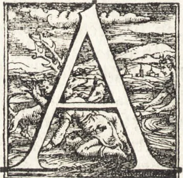 An illustration from Descrittione di tvtta Italia ... nella quale si contiene il sito di essa, l'origine, & le signorie della città, & delle castella, co i nomi antichi & moderni i costumi de populi, le condicioni de paesi, et piv gli hvomini famosi che l'hanno illustrata, i monti, i laghi, i fiumi, le fontane, i bagni, le minere, con tutti l'opre marauigliose in lei dalla natura prodotte, 1550, leaf 445