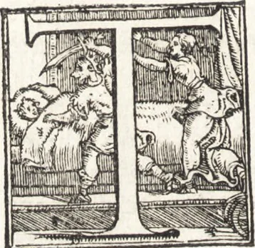 An illustration from Descrittione di tvtta Italia ... nella quale si contiene il sito di essa, l'origine, & le signorie della città, & delle castella, co i nomi antichi & moderni i costumi de populi, le condicioni de paesi, et piv gli hvomini famosi che l'hanno illustrata, i monti, i laghi, i fiumi, le fontane, i bagni, le minere, con tutti l'opre marauigliose in lei dalla natura prodotte, 1550, leaf 557