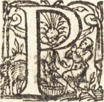 An illustration from Histoire naturelle et moralle des Indes, tant orientalles qu'occidentalles : où il est traittʹe des choses remarquables du ciel, des elemens, metaux, plantes & animaux qui sont propres de ce païs : ensemble des mœurs, ceremonies, loix, gouuernemens & guerres des mesmes Indiens, 1606, leaf 13
