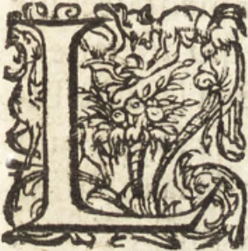 An illustration from Histoire naturelle et moralle des Indes, tant orientalles qu'occidentalles : où il est traittʹe des choses remarquables du ciel, des elemens, metaux, plantes & animaux qui sont propres de ce païs : ensemble des mœurs, ceremonies, loix, gouuernemens & guerres des mesmes Indiens, 1606, leaf 22