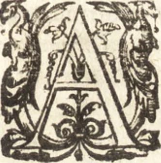 An illustration from Histoire naturelle et moralle des Indes, tant orientalles qu'occidentalles : où il est traittʹe des choses remarquables du ciel, des elemens, metaux, plantes & animaux qui sont propres de ce païs : ensemble des mœurs, ceremonies, loix, gouuernemens & guerres des mesmes Indiens, 1606, leaf 264